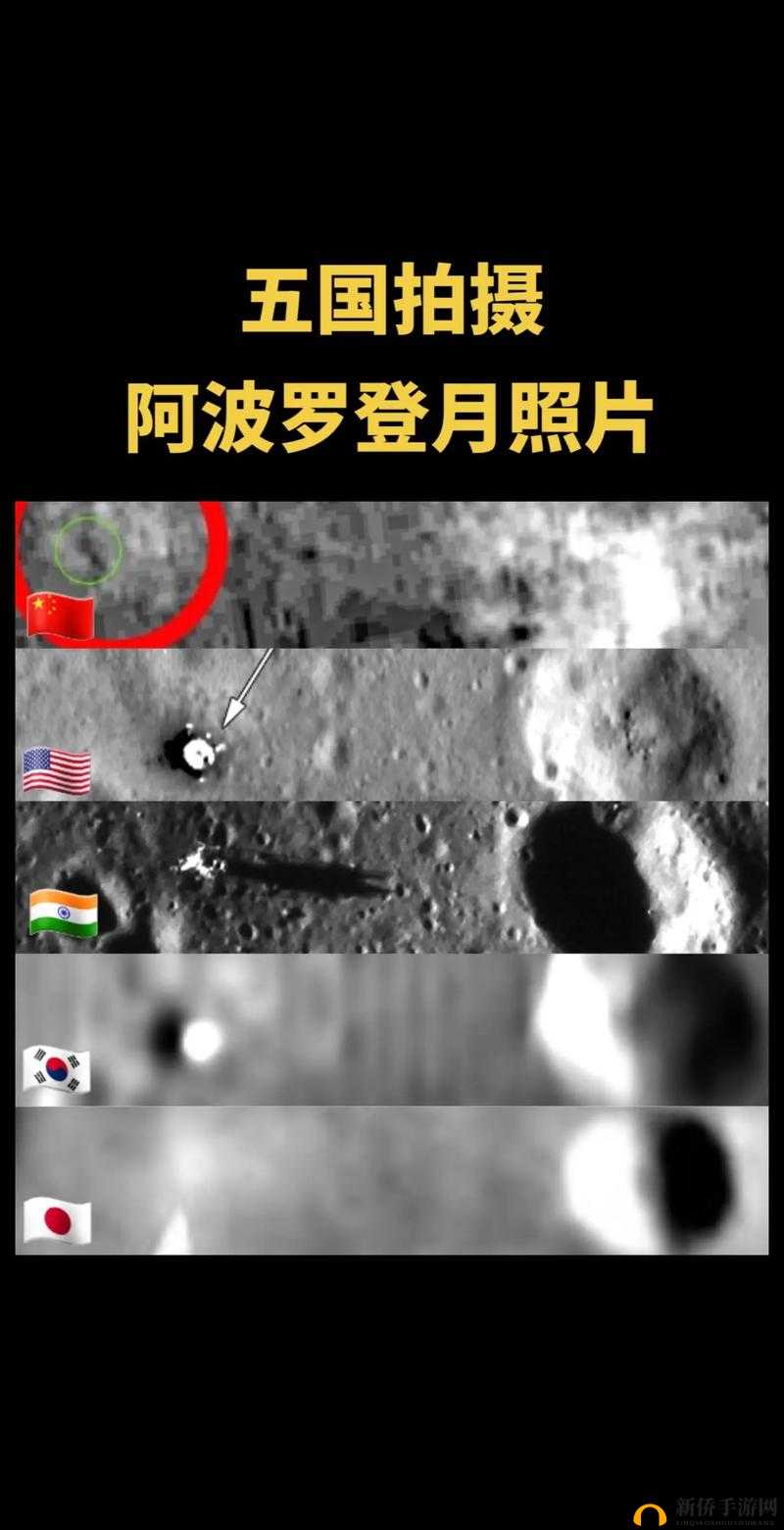 有 Ь 操,www.946133.wiki:探索未知的世界
