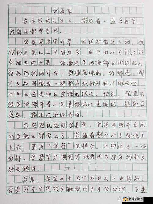 含羞草传媒隐藏路线 2023:探寻未知的精彩世界