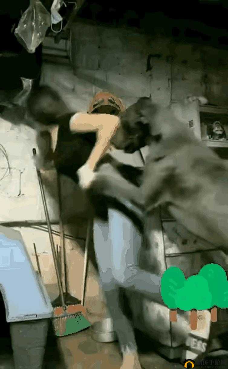欧美人与野鲁交视频引发热议