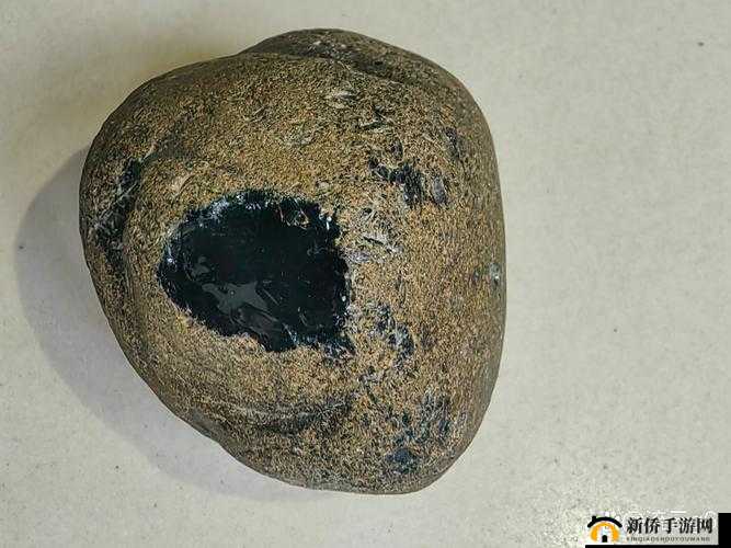 所有黄 p 网站品赏网:探索未知的世界
