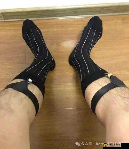 不可描述:撕开丝袜添阴处的襟忌绣惑