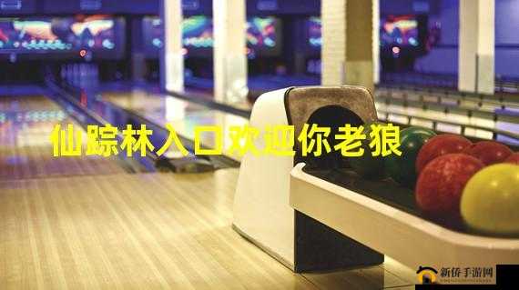 仙踪林老狼网站欢迎你二百：带你领略神秘仙境