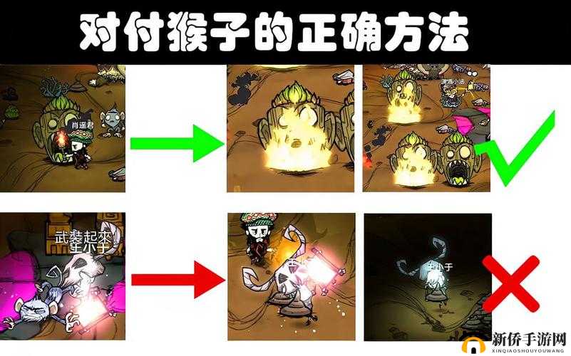 饥荒秒杀猴子攻略：实用技巧详解