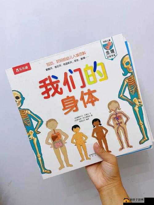 性 13-14：探索成长的奥秘