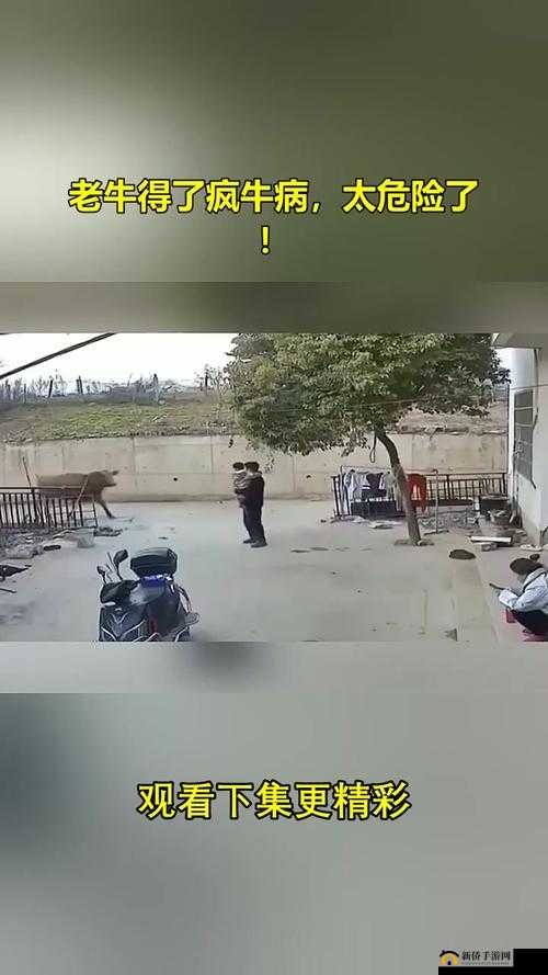 老牛传媒:免费观看 MV
