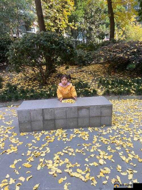 钶钶钶钶钶钶钶水好多好：探究其奥秘