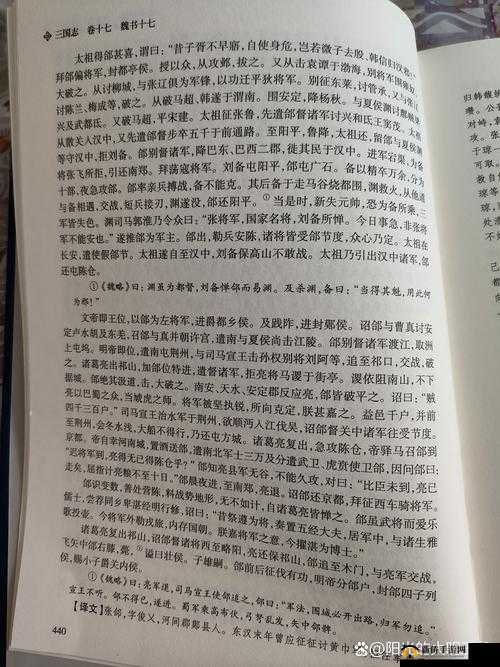 三国志 13 魏国名将风采之张郃 从官渡到街亭的传奇一生解析