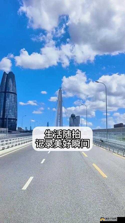 国产手机拍视频推荐 2024:记录美好瞬间