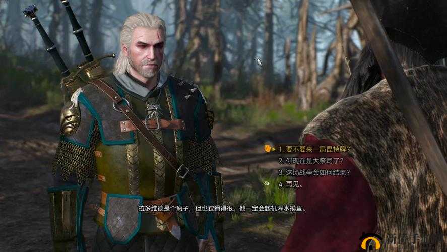 巫师之昆特牌:北方领域金卡深度解析与评估