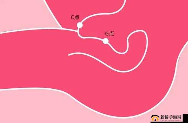 Z0Z○ZO 女人高潮类极致体验
