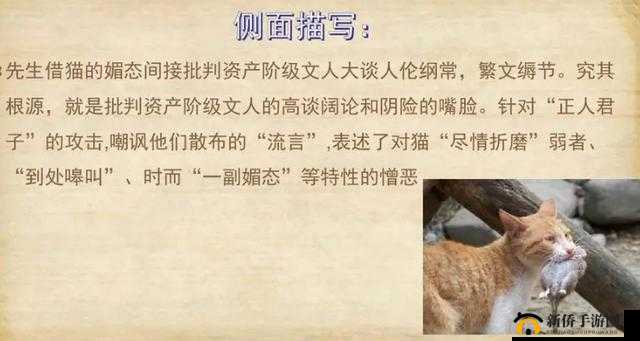 人、禽、乱、交、视、频相关内容