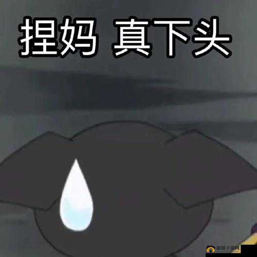 啊你他妈别舔了：真下头