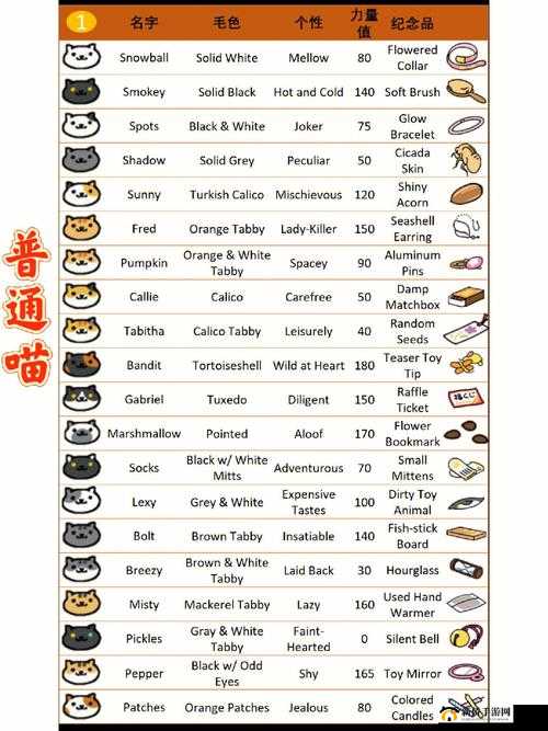 猫咪后院新手玩法全攻略