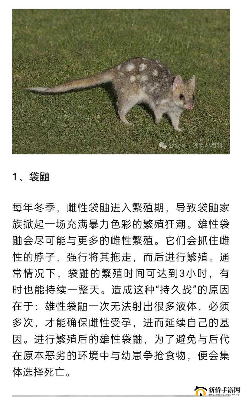 欧洲人物动物交互咬:奇妙的关系探索