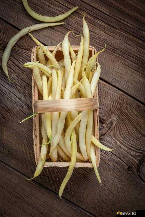 香蕉久久丫精品忘忧草:口感鲜美,回味无穷