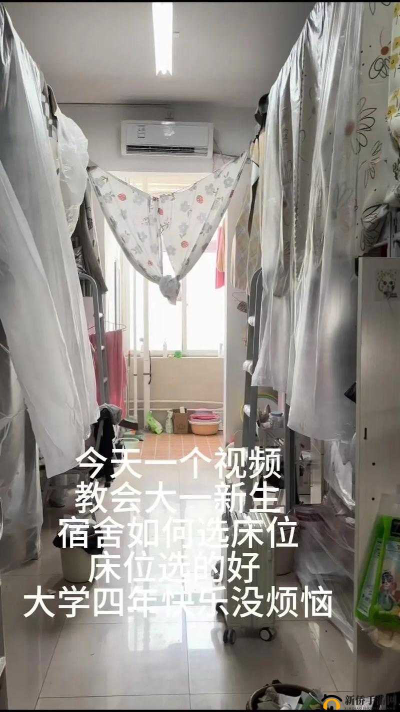 双点校园挑选宿舍床位的技巧:实用指南