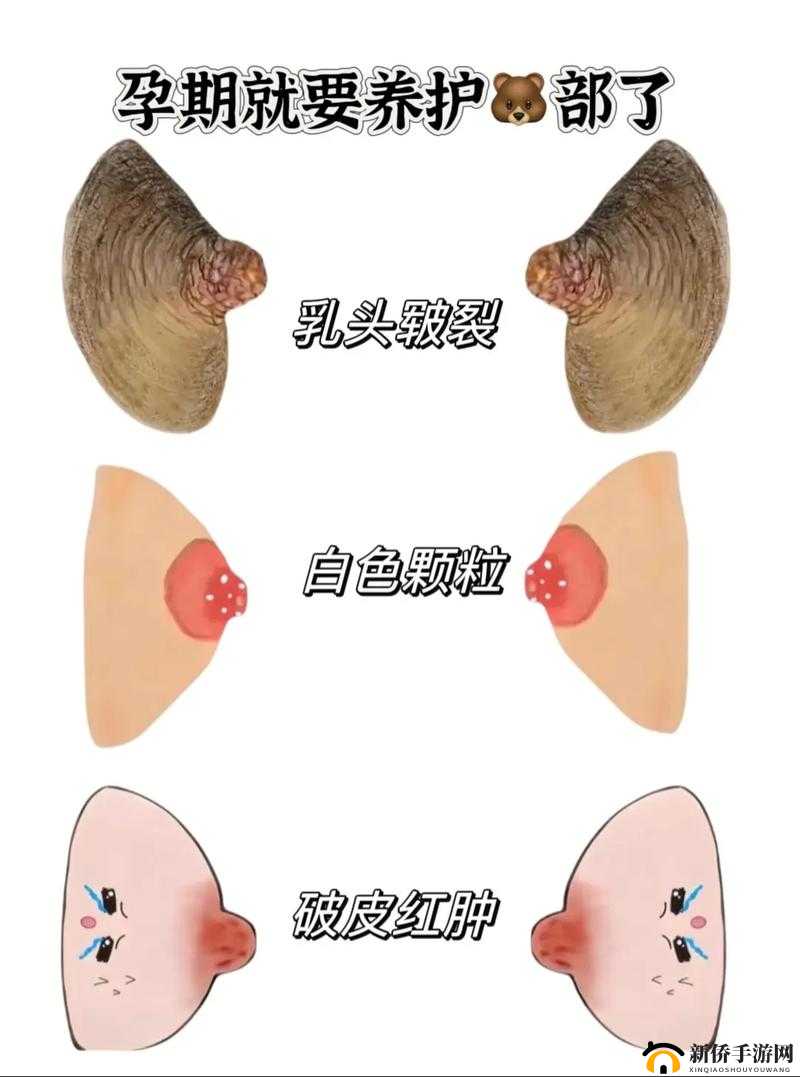 厨房趣事:两只乳头为何红肿