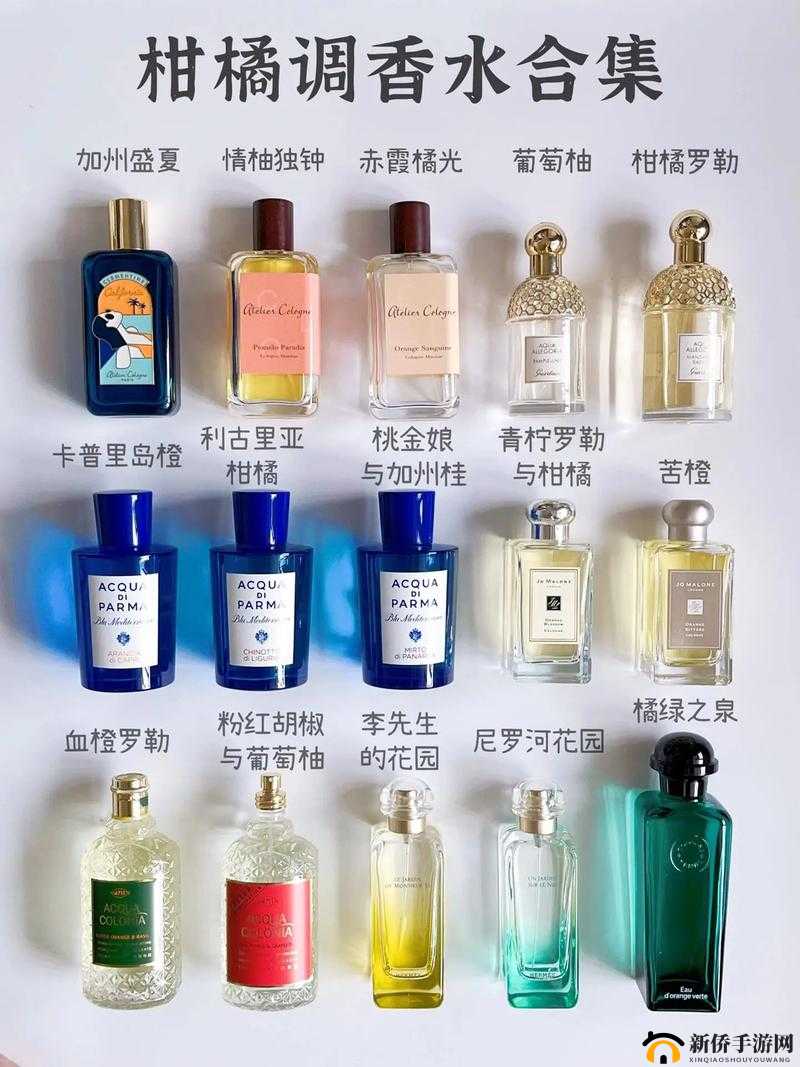 调香师香水的独特用法与奇妙功效探秘