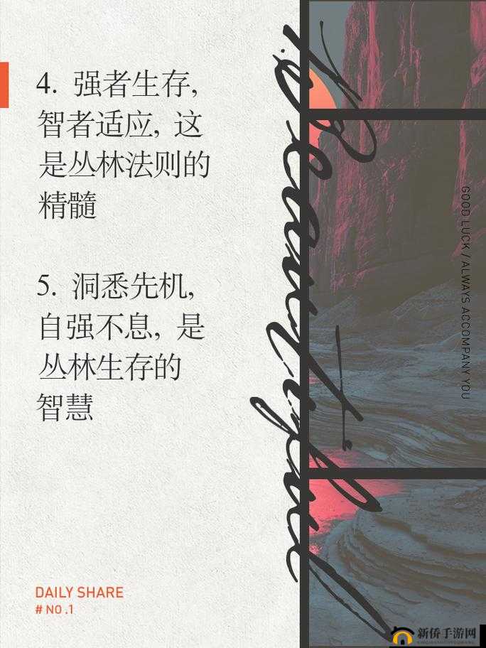 丛林法则的深度探索与内测玩家建议
