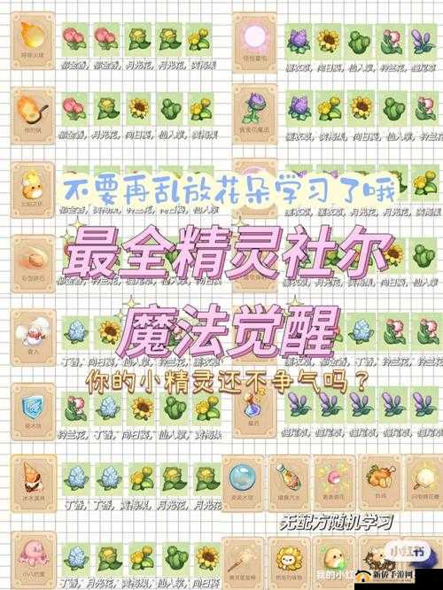 精灵与魔法,探索第二十六章的挑战与策略