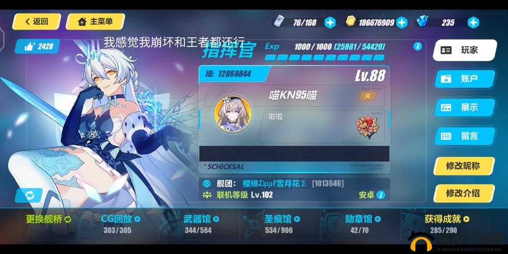 崩坏3,激情与荣耀的交响——线下冠军赛深度解析