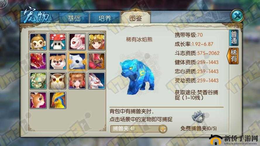 梦幻诛仙手游熊滚滚宠物深度解析与属性一览