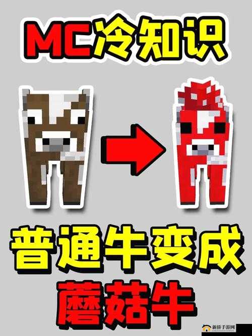 我的世界蘑菇牛喂养秘籍,揭秘它们的饮食偏好