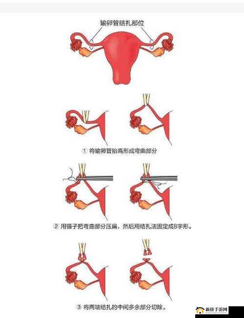 娇小深喉:探秘女性性技巧的奥秘