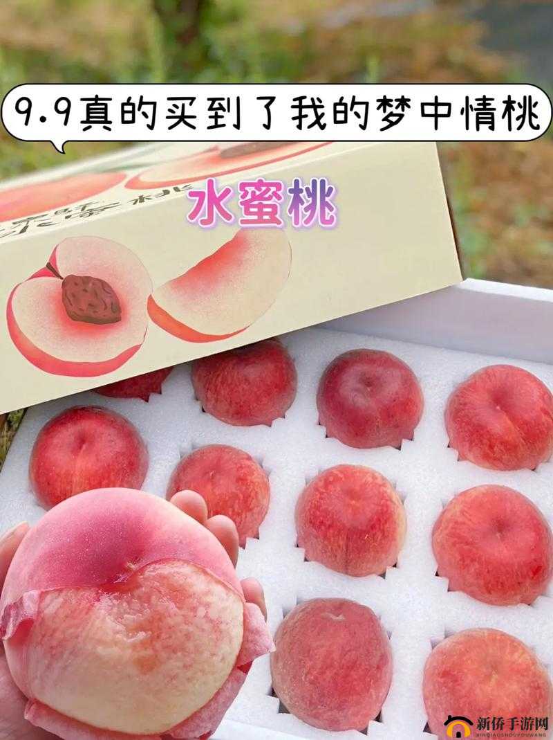 GTCARD2 水蜜桃:香甜多汁的美味佳果
