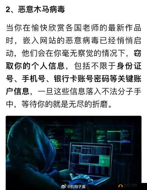 123456 璜铯网站:无尽的绣惑与风险