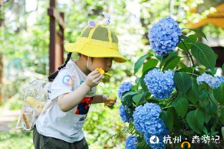 海角披风少年:妈妈伴其成长之旅