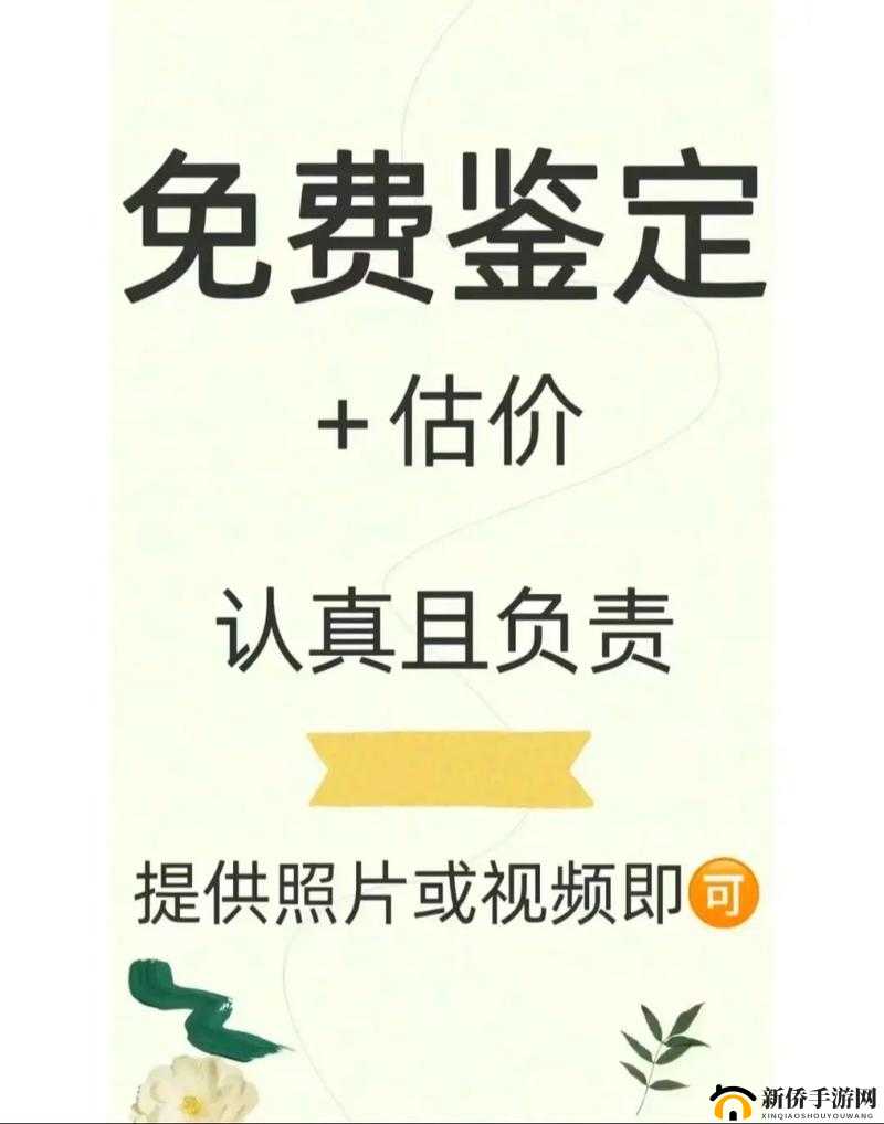 鉴定师 APP 免费网站 :提供专业准确的鉴定服务
