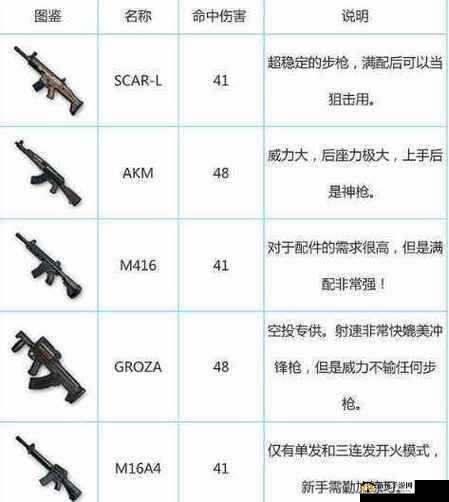 荒芜之地逃生,武器选择——哪种枪好用在资源管理中的重要性
