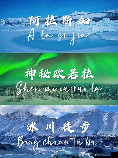 三叶草 m 欧洲码 天堂 :探寻神秘与美好的奇妙之旅