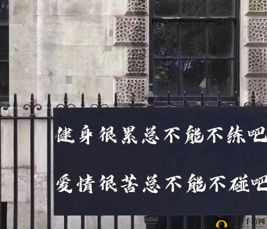 健身房里的激战 2 最火的一句:燃烧激情挑战极限超越自我