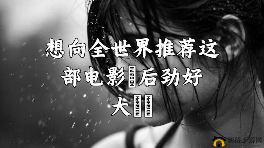 免费观看电视在线高清:开启精彩影视世界之门