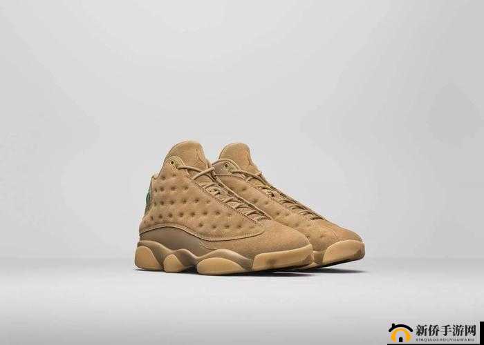 AIRJORDAN 重口只有付费才能访问:背后的商业玄机与争议探讨