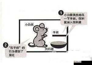 如何一根笔把自己玩哭:探索这种奇特行为背后的心理