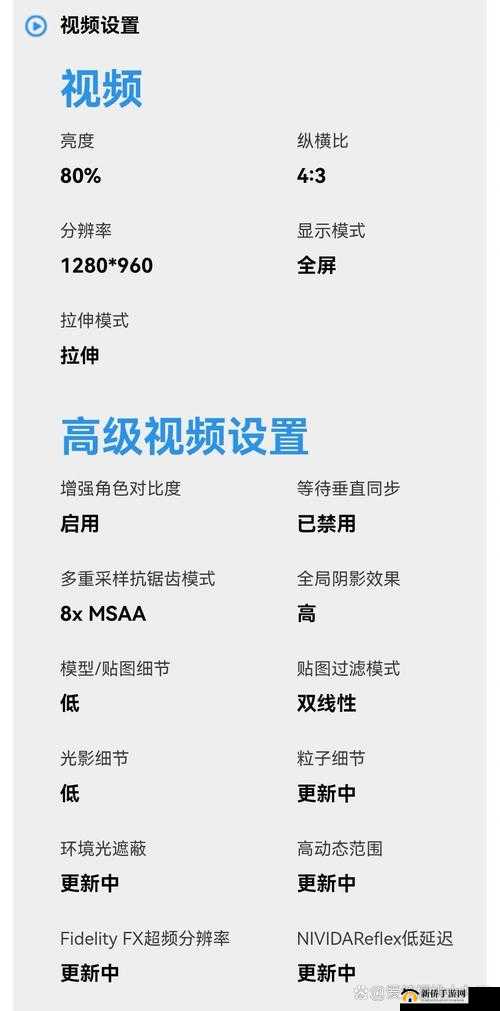 17 岁俄罗斯 csgo-青春热血与电竞梦想的激情碰撞
