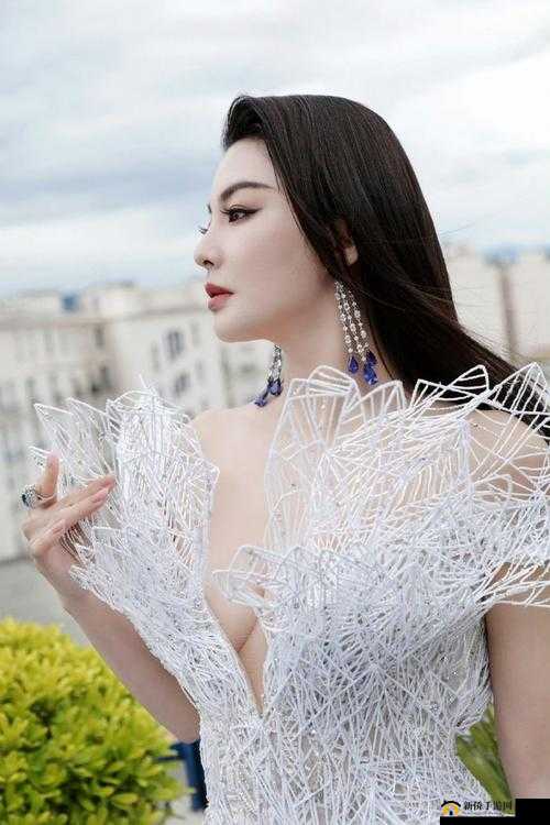 张雨绮人文艺术欣赏 PPT 怎么制作:详细步骤与创意指南