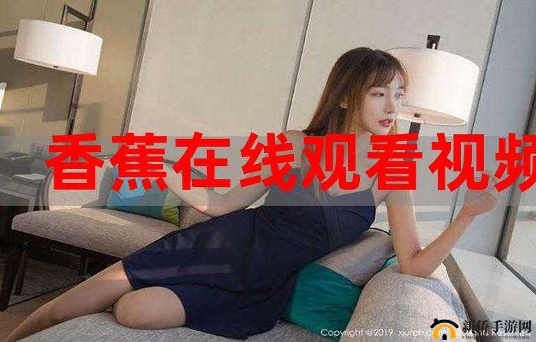 在线精品视频在线观看国内:海量优质资源等您来探索