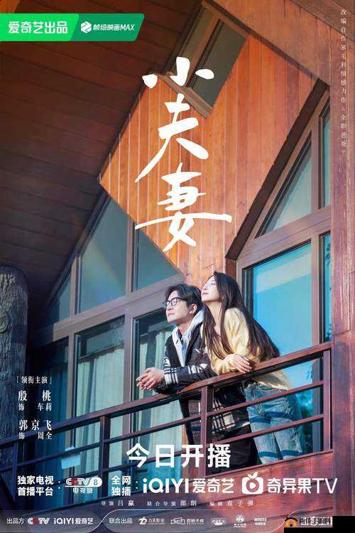 适合夫妻两个人看的电视剧:携手共赏增进感情的精彩剧集