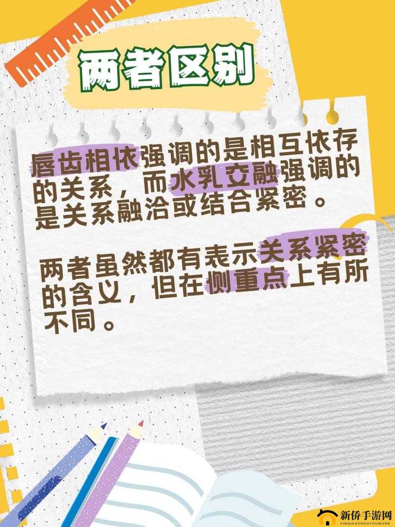 水乳交融唇齿相依:共筑和谐美好关系新篇章