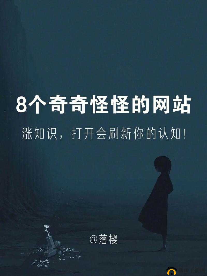 哔哩哔哩18免费进入:带你探索精彩视频世界的大门