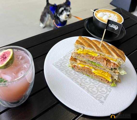 料理次元帕尼尼,解锁美味配方,装盘效果惊艳