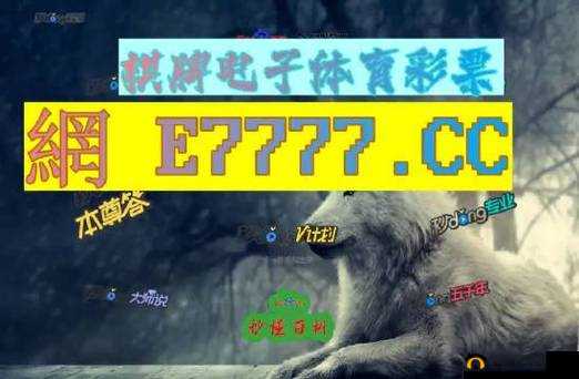 九幺免费版网站nbaoffice68:一个备受关注的体育资源平台