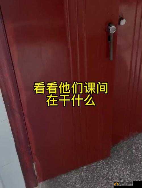 震惊这个社团竟然全是近亲,他们在干什么?