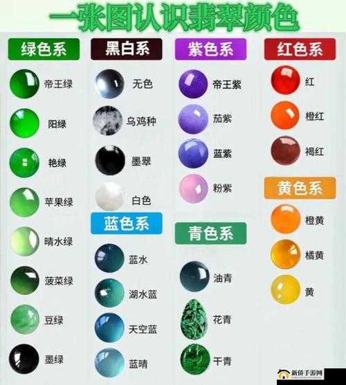 x 综合铯网:探索色彩与视觉的奇妙世界
