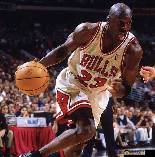 NBA篮球大师球员等级飙升秘籍,从新手到巨星的蜕变之路