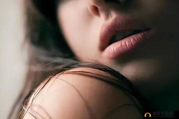 风流老太婆 BBwwBBww 高潮:一场情欲的盛宴